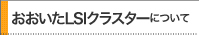 おおいたＬＳＩクラスターについて