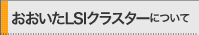 おおいたＬＳＩクラスターについて